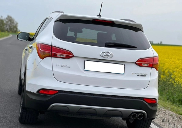 Hyundai Santa Fe cena 80800 przebieg: 219000, rok produkcji 2015 z Toruń małe 106